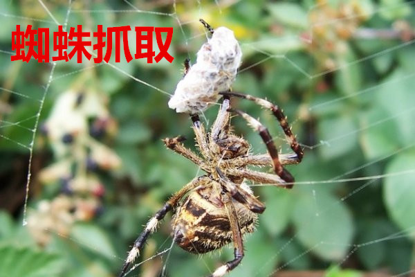 淺談企業(yè)對(duì)于營銷型網(wǎng)站建設(shè)存在的四個(gè)誤解